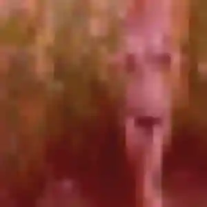 Sexy Wahiba, 42 ans à Fréterive - découvrir son profil