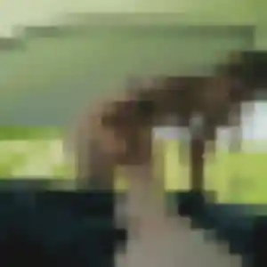 Photo privée de Nassima, 27 ans à Gagnac-sur-Garonne - rencontre sans lendemain