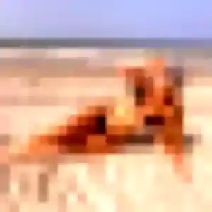 beurette à Gassin : photo de Sarah, 40 ans - accès libre
