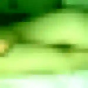 Rajae de Geay, 29 ans - beurette discret