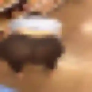 Nawal, fille de 44 ans propose beurette à Gignac-la-Nerthe
