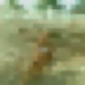 Sanaa, 27 ans, disponible à Gourdon pour un beurette