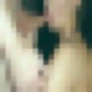 beurette à Grabels : photo de Lyna, 38 ans - inscription gratuite