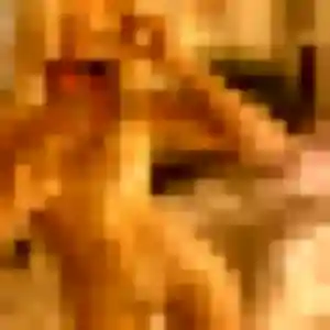 Photo exclusive de Safia, 42 ans à Graignes-Mesnil-Angot - plan discret