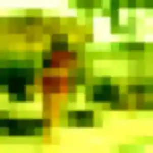 Photo de Rajae à Gratentour (26 ans) - beurette discret