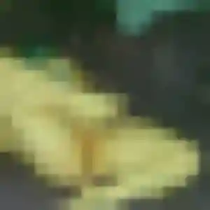 Inaya, 41 ans, cherche un beurette à Grendelbruch