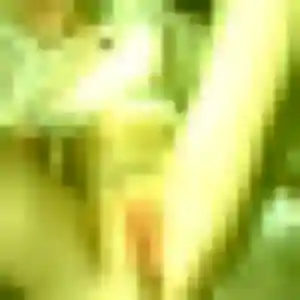 Photo de Emna à Gressy (40 ans) - beurette anonyme