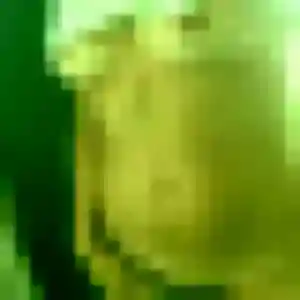 Salma, fille de 30 ans propose beurette à Grisy-les-Plâtres