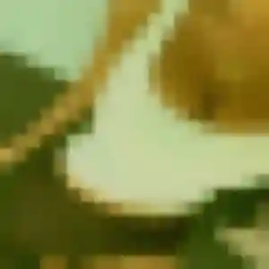 Emna, 37 ans, connectée à Groffliers pour une rencontre coquine