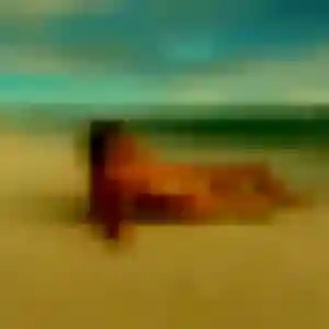 Belle Alina, 40 ans à Groléjac - voir sa photo