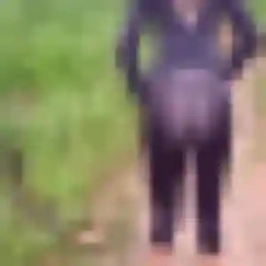 Belle Nadia, 25 ans à Guipavas - voir sa photo