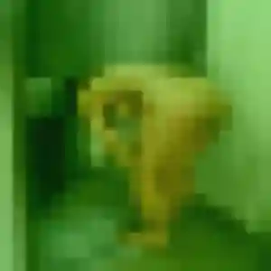 Loubna (33 ans) à Guise cherche une rencontre ce soir