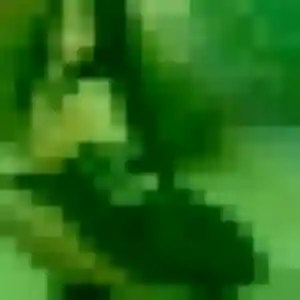 beurette à Guitté : photo de Alya, 36 ans - inscription gratuite