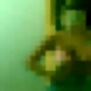 beurette à Hagetmau : photo de Jamila, 43 ans - accès libre