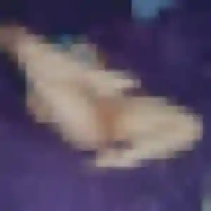 Soumia, fille de 29 ans propose beurette à Harnes