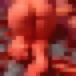 Katia, 24 ans, disponible à Hasnon pour une rencontre coquine