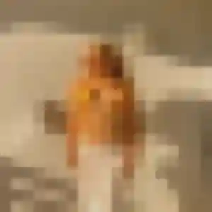 Photo privée de Rim, 26 ans à Hasparren - rencontre coquine