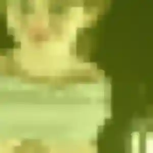 Dina, 25 ans, cherche un beurette à Haucourt-Moulaine