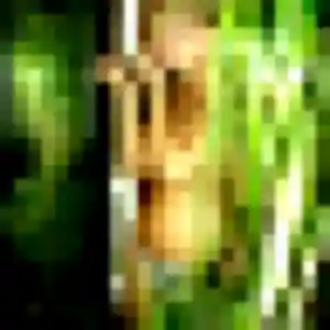 Sexy Inaya, 27 ans à Haudainville - découvrir son profil