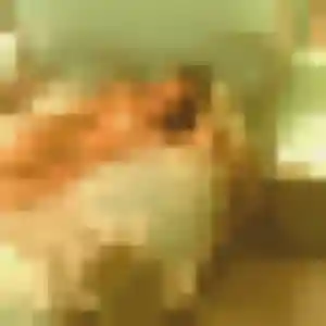 Sexy Melissa, 22 ans à Hautefort - voir sa photo