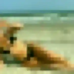Photo de Myriam à Heiligenstein (36 ans) - beurette sans inscription