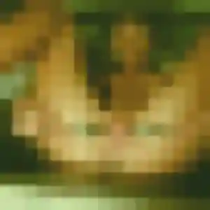 Photo exclusive de Sanaa, 31 ans à Henvic - rencontre coquine