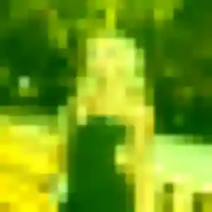 Photo de Fatima à Hermanville-sur-Mer (42 ans) - beurette sans inscription
