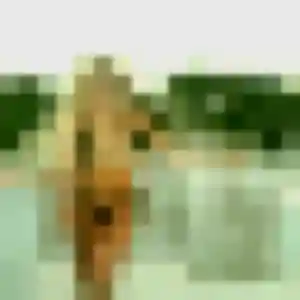 Alina (42 ans) à Huismes cherche un beurette ce soir