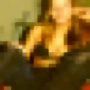 Zara de Humes-Jorquenay, 43 ans - beurette en toute liberté