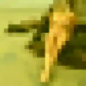 Rejoins Alina, 31 ans à Husseren-Wesserling en privé