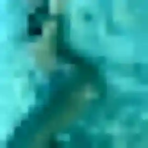 Photo sexy de Houda, 35 ans à Hypercourt - rencontre coquine