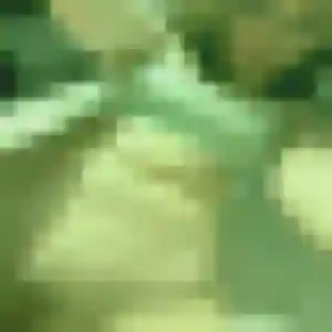 Profil de Amel à Insming (44 ans) - beurette gratuit