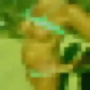 Charmante Rachida, 43 ans à Inzinzac-Lochrist - la contacter