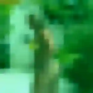 Photo sexy de Sirine, 27 ans à Isle - rencontre sans lendemain