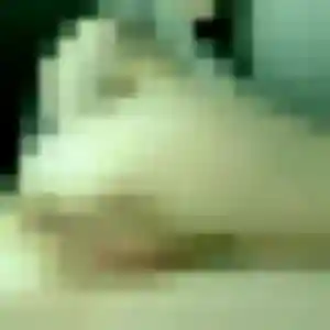 beurette à Isles-sur-Suippe : photo de Inaya, 36 ans - accès libre