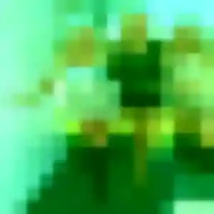Photo de Nour à Jardin (41 ans) - beurette sans inscription