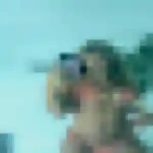 Jolie Dihya, 33 ans à Jeuxey - voir sa photo
