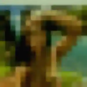 Photo exclusive de Ihsane, 34 ans à Jonquières - rencontre sans lendemain