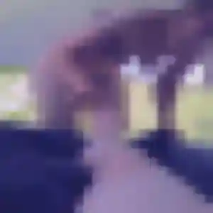 Photo perso de Naila, 25 ans à Jonzac - rencontre coquine