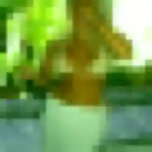 Photo de Rajae à Jouy-aux-Arches (39 ans) - beurette gratuit