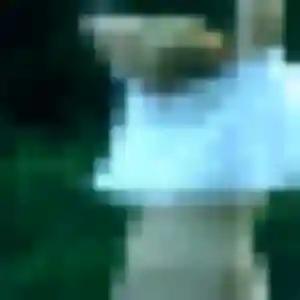 Photo privée de Jamila, 36 ans à Jumeauville - rencontre coquine