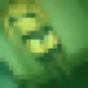 Photo de Rim à Kerfot (27 ans) - beurette anonyme