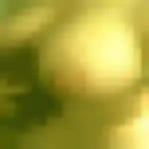 Nassima, 35 ans, disponible à La Baronnie pour une rencontre coquine
