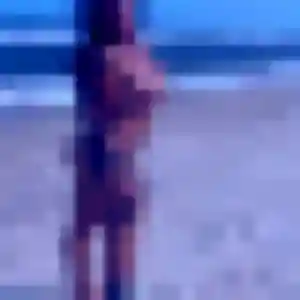 Profil de Rachida à La Bazoge-Montpinçon (34 ans) - beurette anonyme