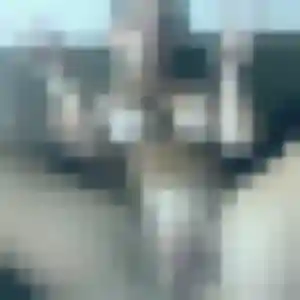 Photo de Leila à La Bernerie-en-Retz (43 ans) - beurette sans inscription