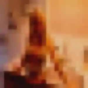 Sexy Mina, 25 ans à La Brosse-Montceaux - la contacter
