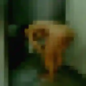 Photo exclusive de Nabila, 36 ans à La Chambre - rencontre sans lendemain