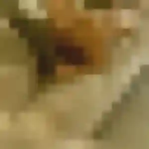 Photo exclusive de Rabia, 23 ans à La Chapelle-des-Marais - rencontre coquine