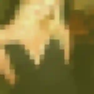 Habiba (41 ans) à La Chapelle-sur-Aveyron propose une rencontre ce soir