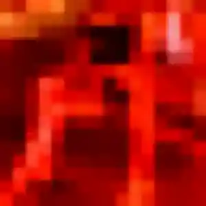 Photo de Dihya à La Chapelle-Thouarault (36 ans) - beurette anonyme